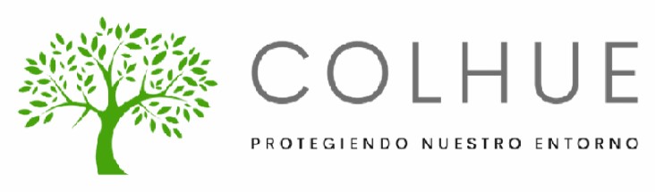 Servicios Colhue SpA